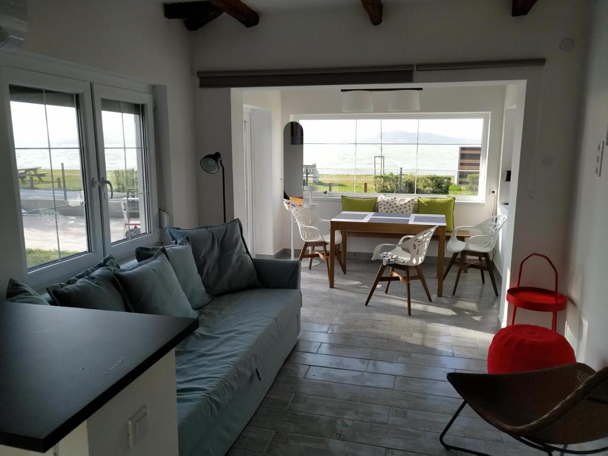 Exclusive Beachfront Villa Fonyód エクステリア 写真
